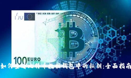 如何查看比特币数据钱包中的私钥：全面指南