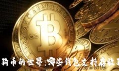   探索狗狗币的世界：哪些钱包支持存放狗狗币？