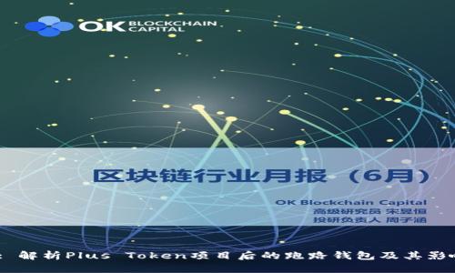  : 解析Plus Token项目后的跑路钱包及其影响