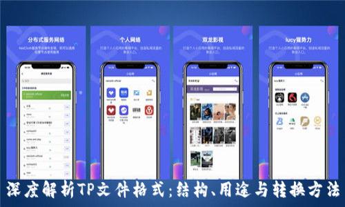   
深度解析TP文件格式：结构、用途与转换方法