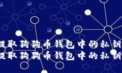 如何安全地提取狗狗币钱包中的私钥：全面指南