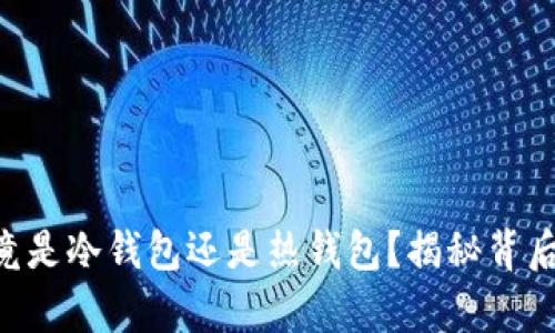  USDT资金账户究竟是冷钱包还是热钱包？揭秘背后的真相与安全策略
