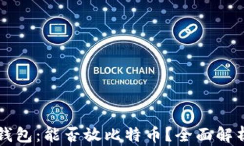 
瑞波币钱包：能否放比特币？全面解析和指南