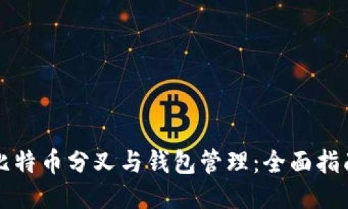 比特币分叉与钱包管理：全面指南