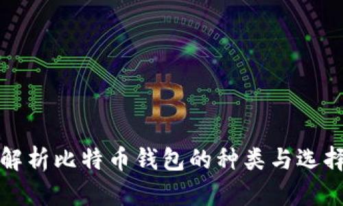 全面解析比特币钱包的种类与选择指南