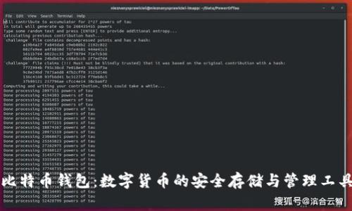 比特币钱包：数字货币的安全存储与管理工具