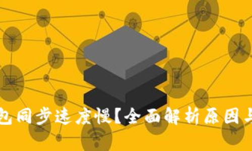 比特币钱包同步速度慢？全面解析原因与解决方案