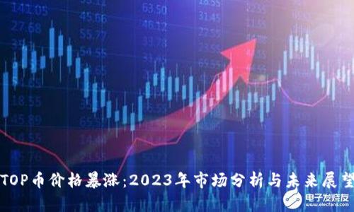 TOP币价格暴涨：2023年市场分析与未来展望