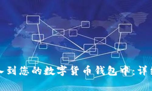 如何将TP钱包导入到您的数字货币钱包中：详细步骤与注意事项