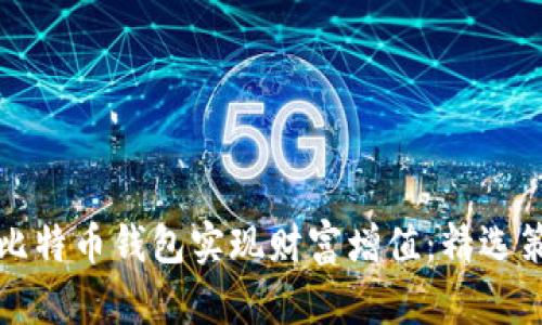 如何通过投资比特币钱包实现财富增值：精选策略与风险管理