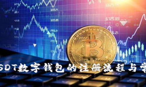详尽指南：USDT数字钱包的注册流程与常见问题解答