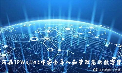 如何在TPWallet中安全导入和管理您的数字资产