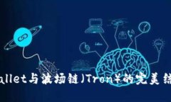 深入探讨TPWallet与波场链（Tron）的完美结合与应