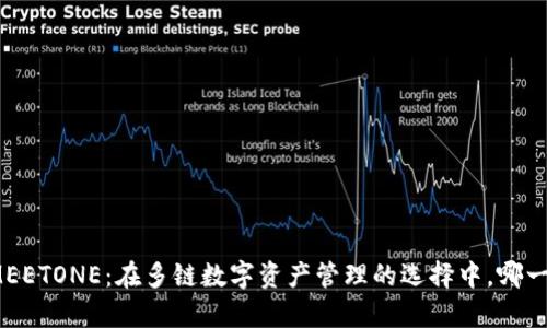 tpwallet与MEETONE：在多链数字资产管理的选择中，哪一款更适合你？