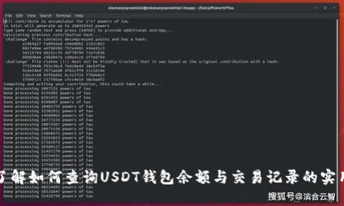 全面了解如何查询USDT钱包余额与交易记录的实用指南