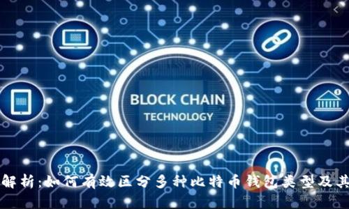 深入解析：如何有效区分多种比特币钱包类型及其特点