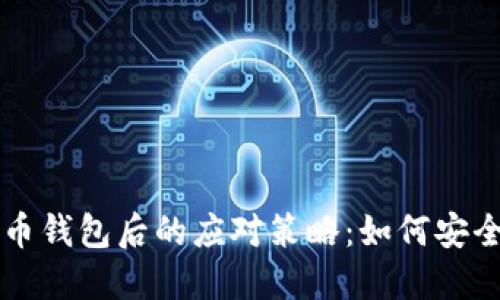 丢失瑞波币钱包后的应对策略：如何安全找回资产