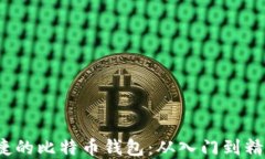 构建安全、便捷的比特币钱包：从入门到精通的
