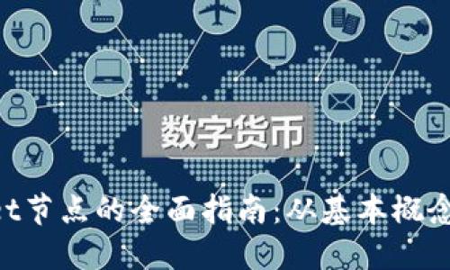 TokenPocket节点的全面指南：从基本概念到实际应用