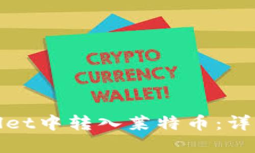 如何在TPWallet中转入莱特币：详细指南与步骤