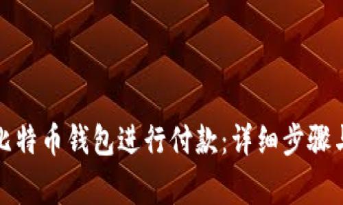 如何通过比特币钱包进行付款：详细步骤与注意事项