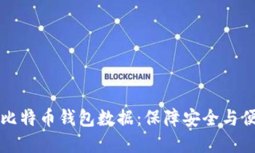 如何高效同步比特币钱包数据：保障安全与便捷的实用指南