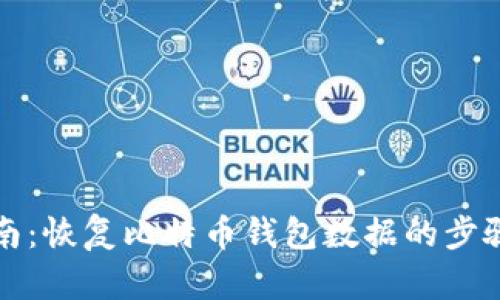 全面指南：恢复比特币钱包数据的步骤与技巧