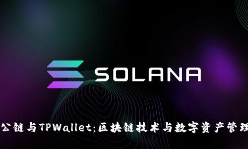全面解析ZT公链与TPWallet：区块链技术与数字资产管理的完美结合