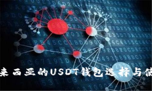 探秘马来西亚的USDT钱包选择与使用指南