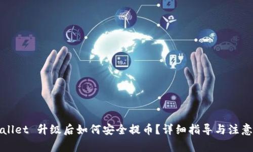 TPWallet 升级后如何安全提币？详细指导与注意事项