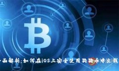 全面解析：如何在iOS上安全使用狗狗币中文钱包