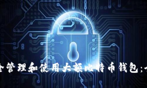 如何安全管理和使用大额比特币钱包：全面指南