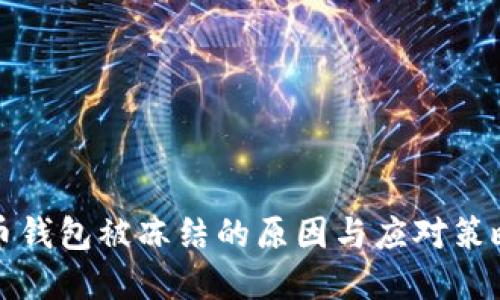 比特币钱包被冻结的原因与应对策略详解