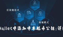 如何在TPWallet中添加中本聪币公链：详细操作指南