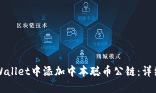 如何在TPWallet中添加中本聪币公链：详细操作指南