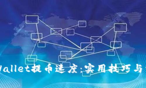 如何提升TPWallet提币速度：实用技巧与常见问题解析