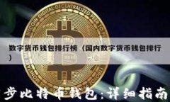 如何高效同步比特币钱包：详细指南与实用技巧