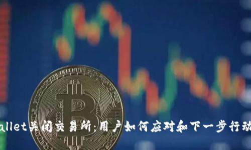 TPWallet关闭交易所：用户如何应对和下一步行动指南