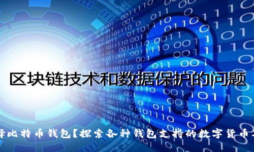 如何选择比特币钱包？探索各种钱包支持的数字货币及其特点