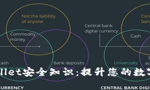 深入理解TPWallet安全知识：提升您的数字资产保护意识