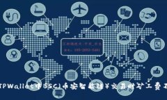 如何解决TPWallet中BSC（币安智能链）交易时矿工费