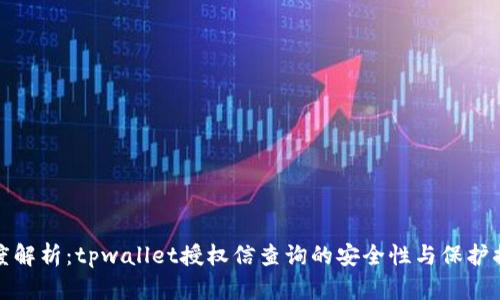 深度解析：tpwallet授权信查询的安全性与保护措施