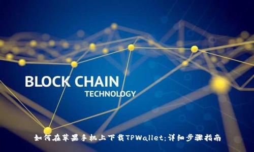 如何在苹果手机上下载TPWallet：详细步骤指南