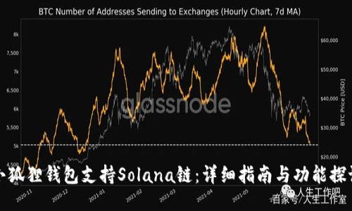 小狐狸钱包支持Solana链：详细指南与功能探讨