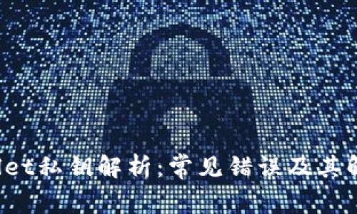 TP Wallet私钥解析：常见错误及其解决方案