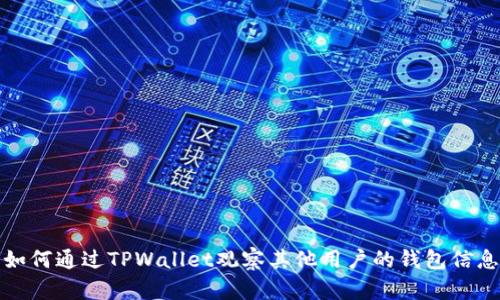 如何通过TPWallet观察其他用户的钱包信息