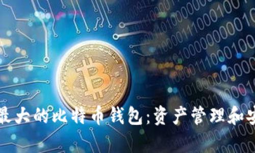 揭秘全球最大的比特币钱包：资产管理和安全性分析