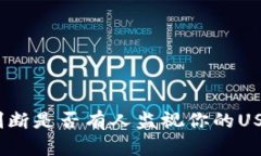 深入解析：如何判断是否有人监视你的USDT钱包交