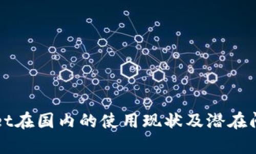 TPWallet在国内的使用现状及潜在问题解析