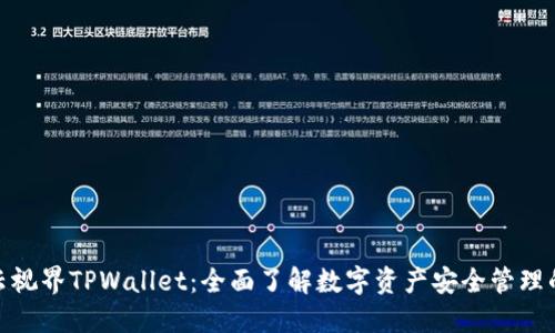 探索星云视界TPWallet：全面了解数字资产安全管理的新选择